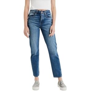 American Eagle Medium Wash 90's Boyfriend Jeans‎ Button Fly Cotton Size 2